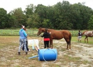 Youth working with a horse to get over a named obstacle...